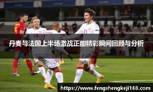 丹麦与法国上半场激战正酣精彩瞬间回顾与分析